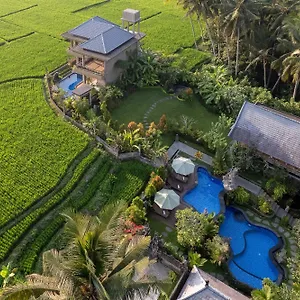 Otel Gynandha