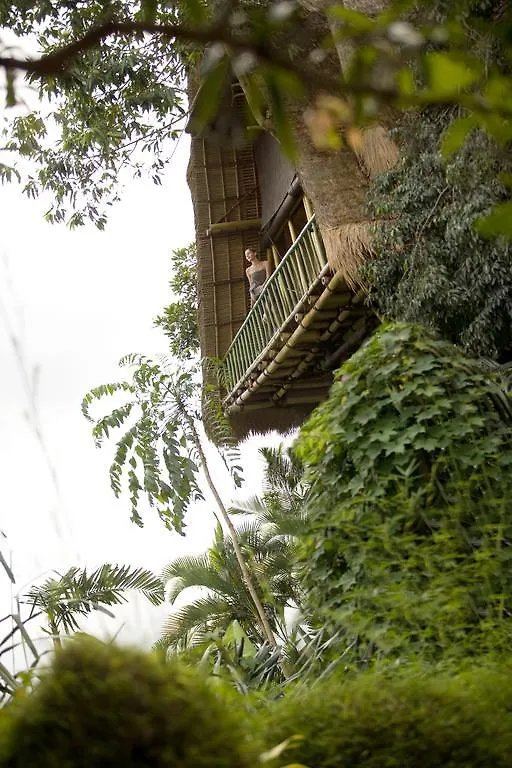 Hotel Jungle Retreat By Kupu Kupu Barong Ubud